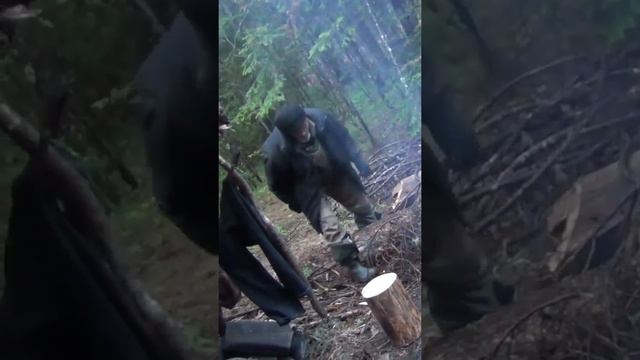 ? Растения Тайги ? ИСЛАНДСКИЙ МОХ ? Девственная Тайга на Рыбалке ?Федорович рубит дрова ? Дым Шалаш смотреть онлайн