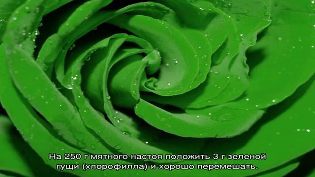 Кулинарные Изыски и Гурманство