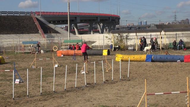 Воробьева и Оникс /Кубок РО. Аджилити/ 27.10.2018