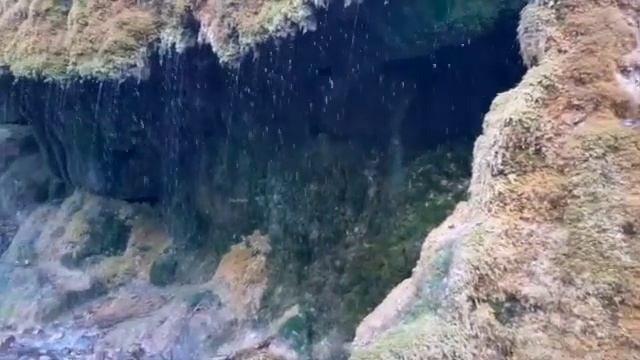 Рекомендую ВСЕМ! Чарующий мир Шварцвальда(нем.Schwarzwald — чёрный лес) смотреть онлайн