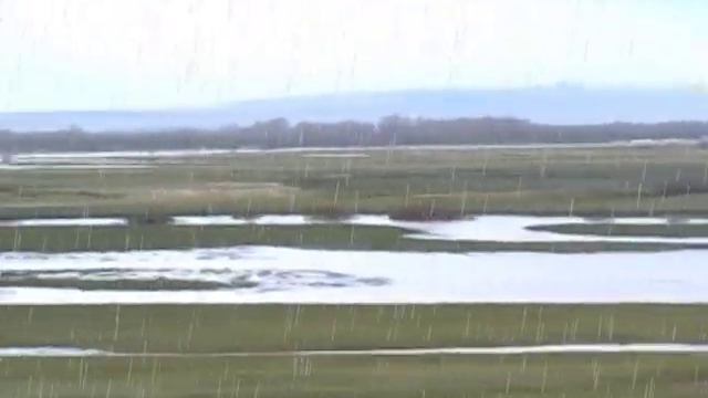 разлив Уба смотреть онлайн