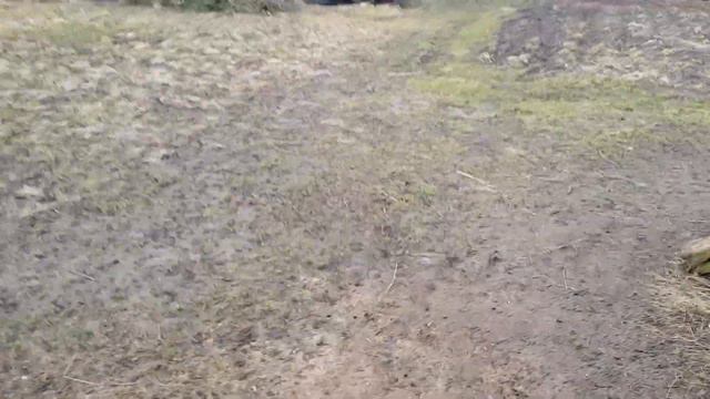 Ясли для коз рядом с хлевом смотреть онлайн