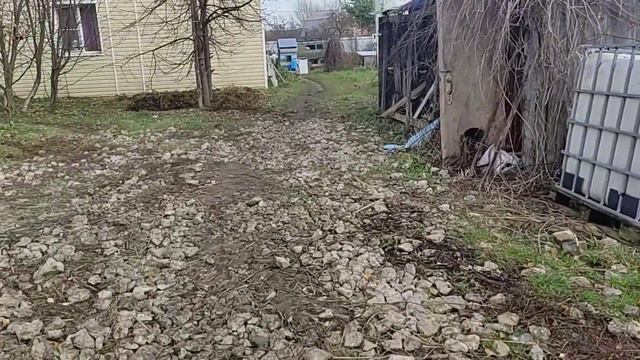 Все засыпаю навозом! Козья жизнь!#рек #топ #short #козы #фермер #хочуврек #корова #деревня смотреть онлайн