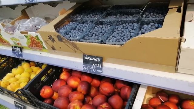 ХВАСТАЮСЬ УРОЖАЕМ! ВЫРАСТИЛА ЧУДО-ЧУДЕСНОЕ!