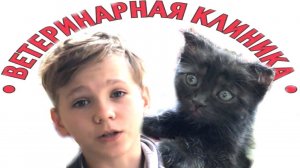 КОТЁНОК попал в БОЛЬНИЦУ.  Доктор ТАКОЕ сказал!!!