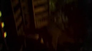 Station922.mkv палочник буратино