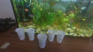 Тест воды TDS 3  с АЛИЭКПРЕСC