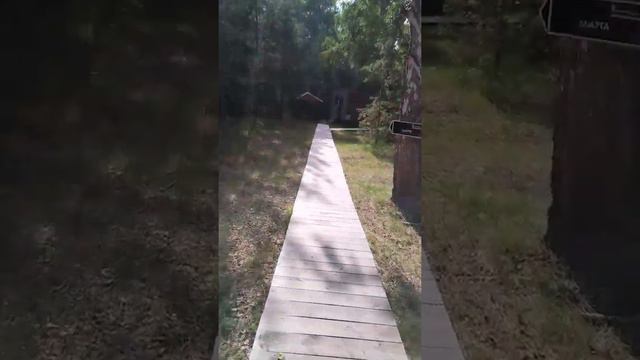 Лес, домик и благодать! смотреть онлайн