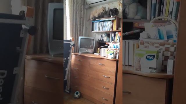 Хочу, где Тимофей... Фу, тут не интересно смотреть онлайн