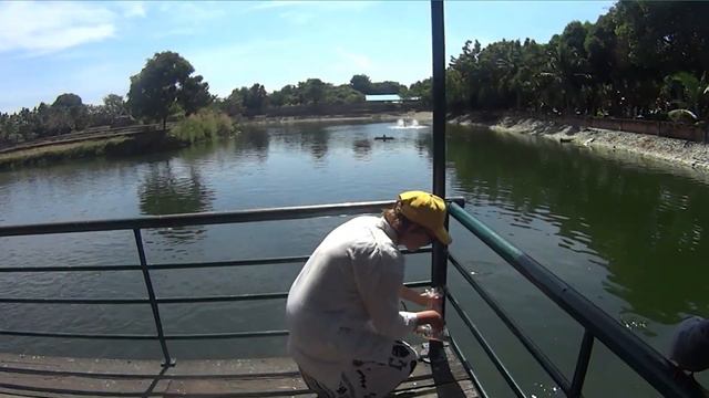 Экскурсия Дискавери тур 8 в 1, Паттайя / #5 смотреть онлайн