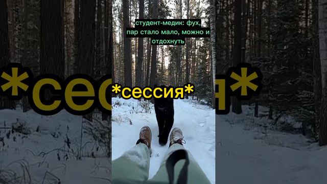 Рассказывайте, как сессия?🫠