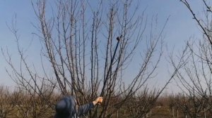 Foarfeca Fiskars UP 84