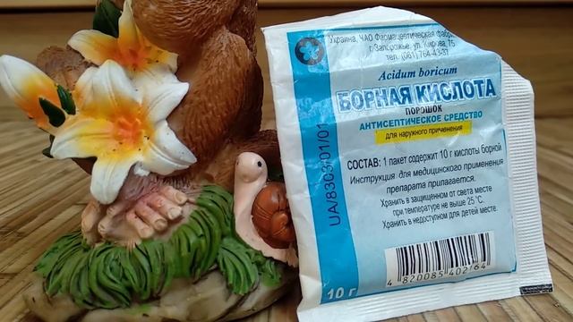 ХОЛИТЬ орхидеи ЛЕЛЕЯТЬ! ПОДКОРМКА орхидеи КОПЕЙКИ! какие ВНОСИТЬ удобрения орхидеи! СКОРАЯ орхидеи! смотреть онлайн
