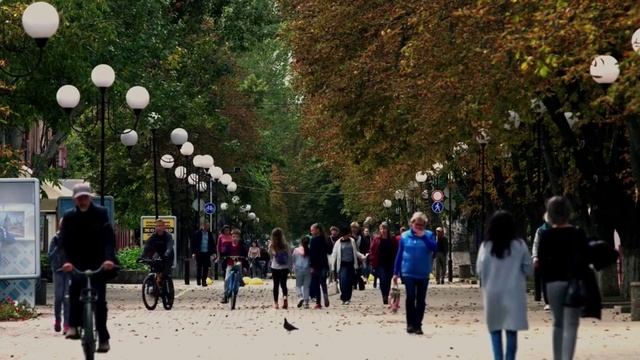 Чума элитаризма смотреть онлайн