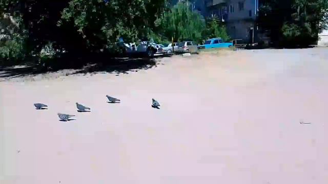 27-05-2024 смотреть онлайн