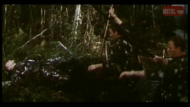 METALчет 23 февраля