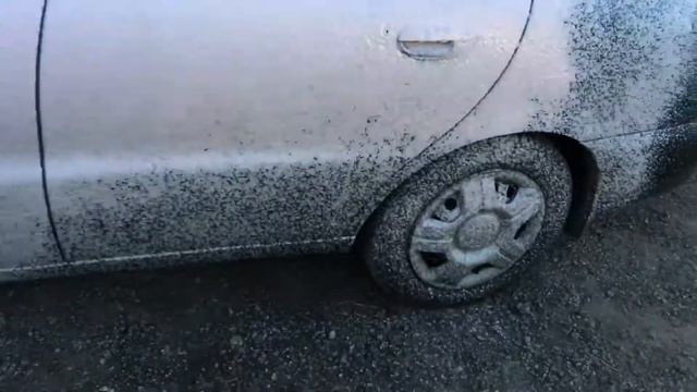 Пенная насадка Grass + Karcher K 3.500 часть 1