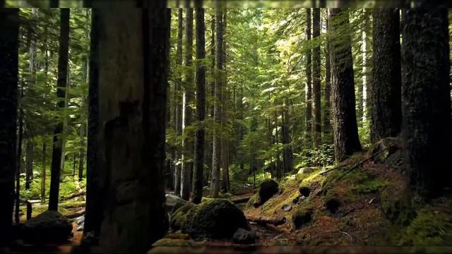 Летняя прогулка смотреть онлайн