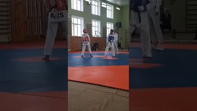 Кубок РО по тхэквондо смотреть онлайн
