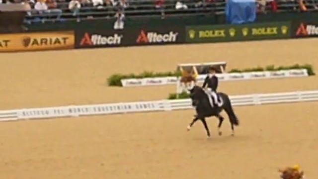 World Equestrian Games 2010 105 смотреть онлайн
