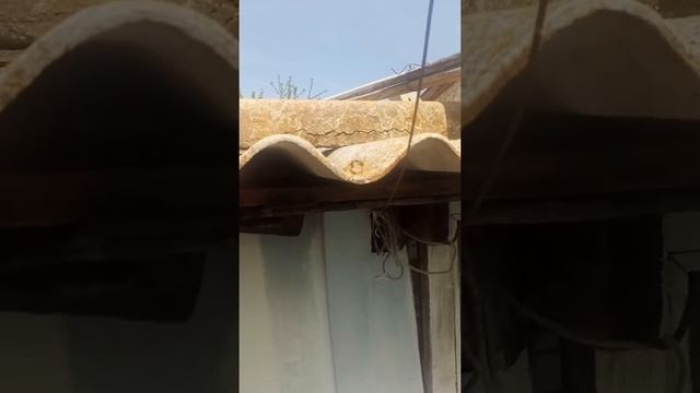 Бой ОС, как то жутковато :-) смотреть онлайн