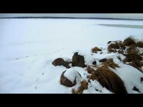 Озеро Вселуг  январь 2012