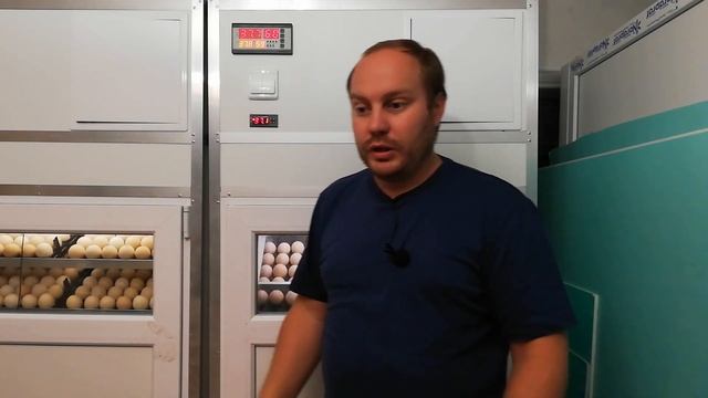 Цены на Воронежский инкубатор. Что выбрать качество или подорожание? смотреть онлайн