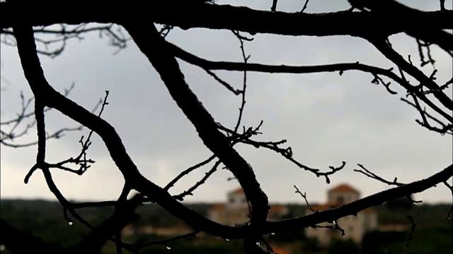 Mad World, Beautiful Piano, Gentle Rain Sound, Sad Music, Relax, Sleep, Study, Inner Peace. смотреть онлайн