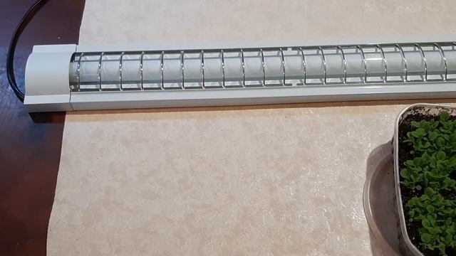 Фито лампа fluora. Для роста рассады и других растений! смотреть онлайн