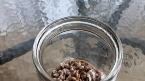 ?Тестируем триходерму от разных производителей! Микопро, микохэлп, вериде, глиокладин.