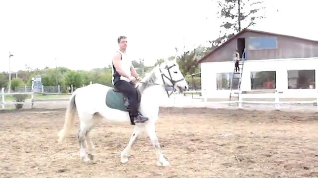 Конные прогулки смотреть онлайн