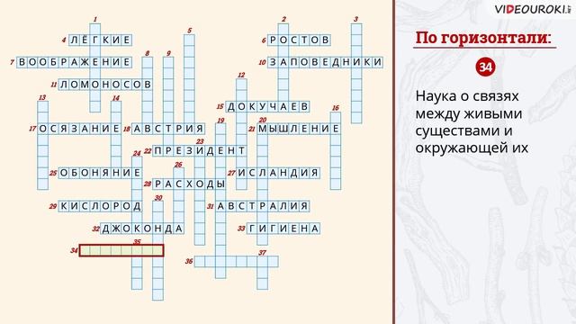 Видеокроссворд для начальных классов по курсу «Окружающий мир 3 класс» смотреть онлайн