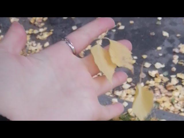 - Осень за*** за*колдуй меня... - За* Завтра вставать в восемь... смотреть онлайн