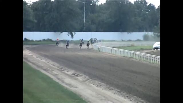 Ахалтекинский жеребец Демиртау. Скачка смотреть онлайн