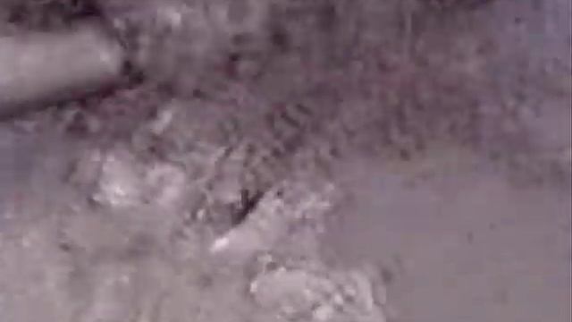 фирма OOO "Бином" смотреть онлайн