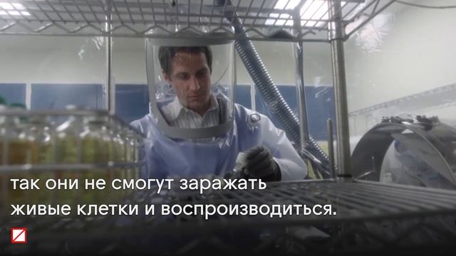 Как делают вакцины?