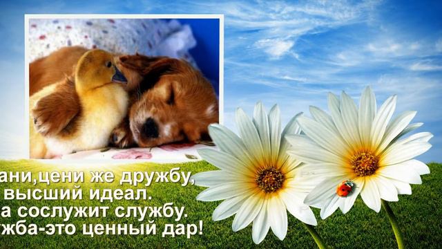 Открытка Моим Друзьям!