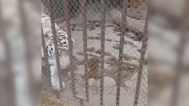 Обалденный Минск смотреть онлайн