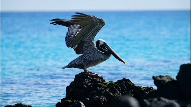 Эквадор История смотреть онлайн