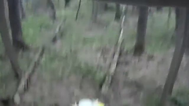 НЕБОЛЬШОЙ ПРОХВАT ВSE и AVANTIS FX смотреть онлайн