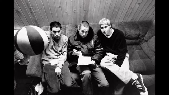 Бисти Бойз (The Beastie Boys)