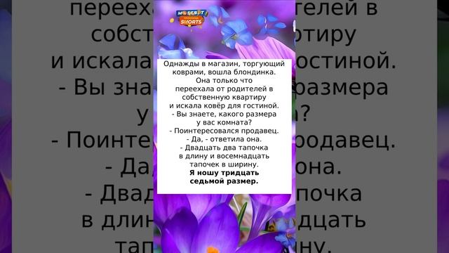 Блондинка в магазине#анекдоты  #приколы #радость #анекдотыновые #шутки #смех #юмор #анекдоты