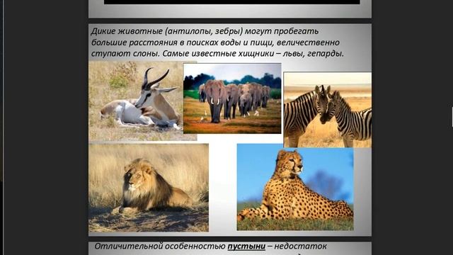 Природные зоны Земли. 6 класс смотреть онлайн