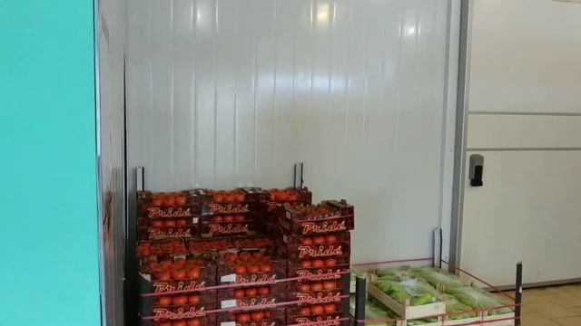 Холодильные камеры овощи / фрукты. Оптовая торговля. смотреть онлайн