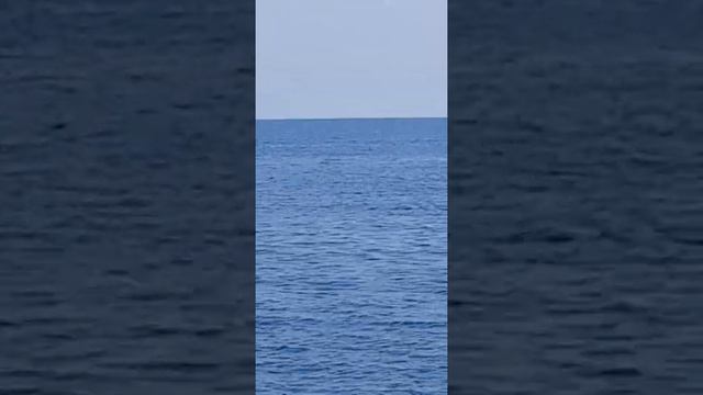 дедушка Саша на водный мотоцикл смотреть онлайн