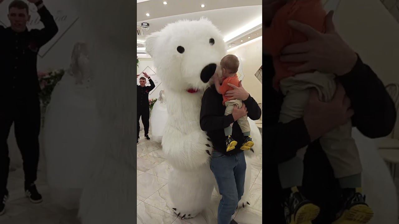 танцующий мишка смотреть онлайн