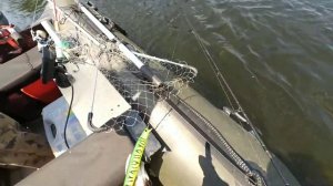 Ловим щуку на реке Цна, в Тамбовской области, с. Перкино. 27.06.2020.