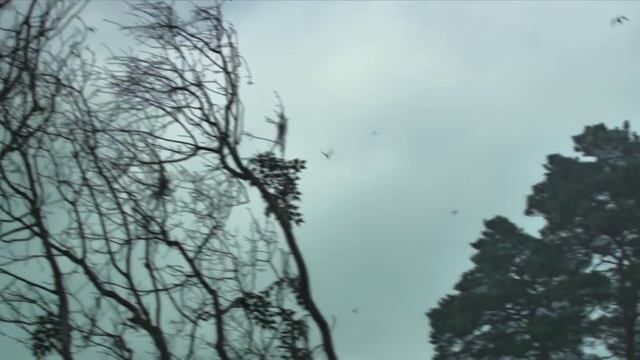 HD Trailer: Jack The Giant Slayer смотреть онлайн