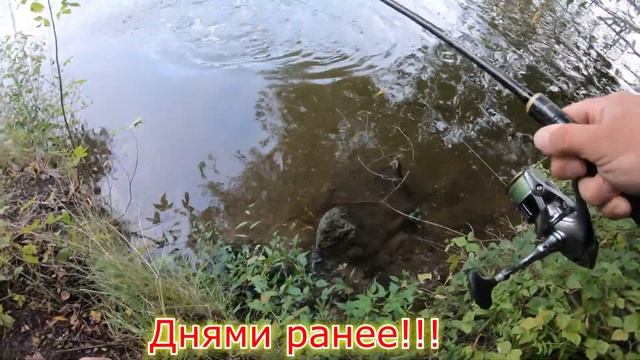 Осенняя прогулка по р Пахре! смотреть онлайн