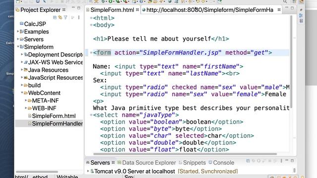 CS 401 JSP v Servlets смотреть онлайн